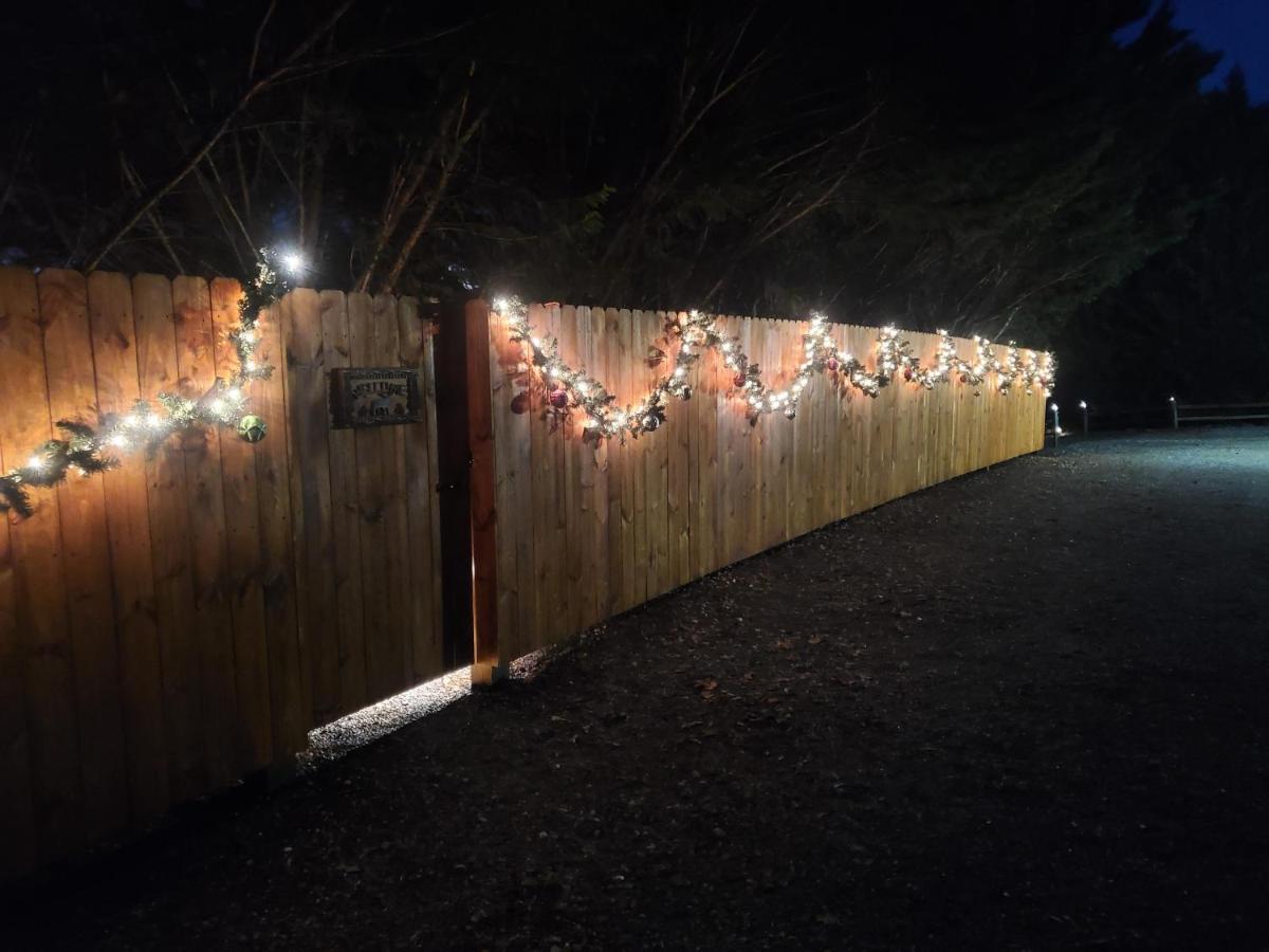 Smoky Mountain Cabin - Hot Tub - Fire Pit マーフィ エクステリア 写真